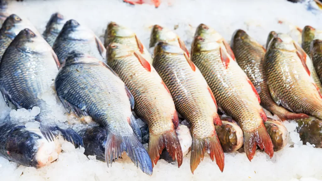 fish price in Pakistan