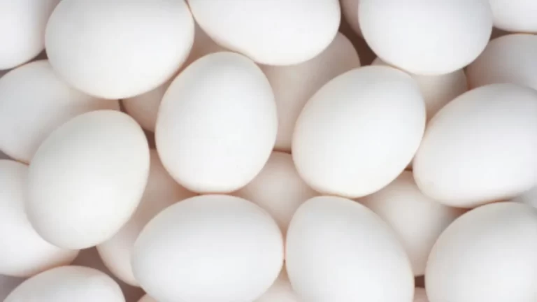 Egg Price in Pakistan: Factors, Trends, and Impact