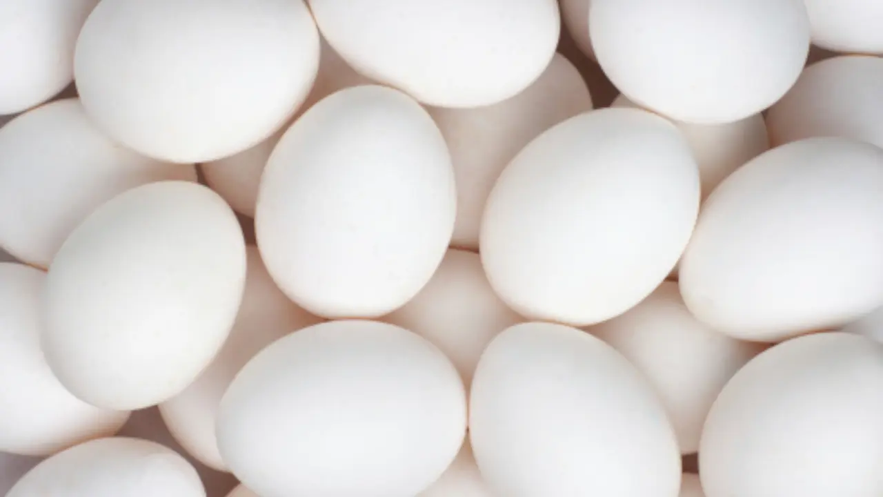 eggs price in pakistan
